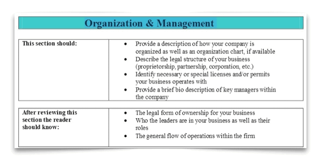 6 Organization