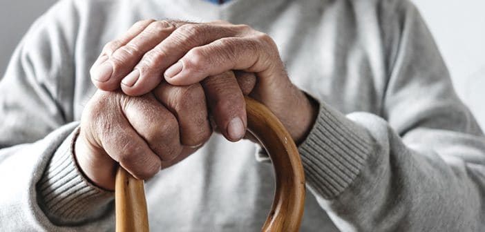 Close up details of the folded hands of an elderly man resting on a walking cane in a mobility and health concept