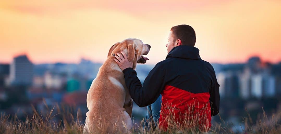 Renting to tenants with pets