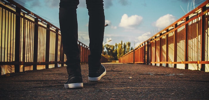 bridge feet railings 244371