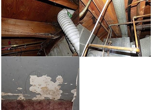 basement ceiling wooden beams and walls with termite damage