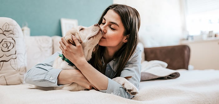 Should You Allow Pets in Your Rentals?