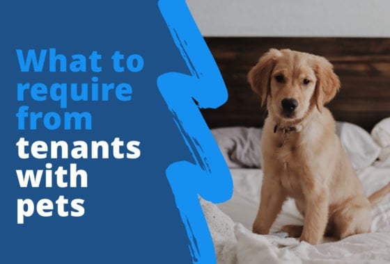 What Expectations Should Landlords Establish for Tenants With Pets?