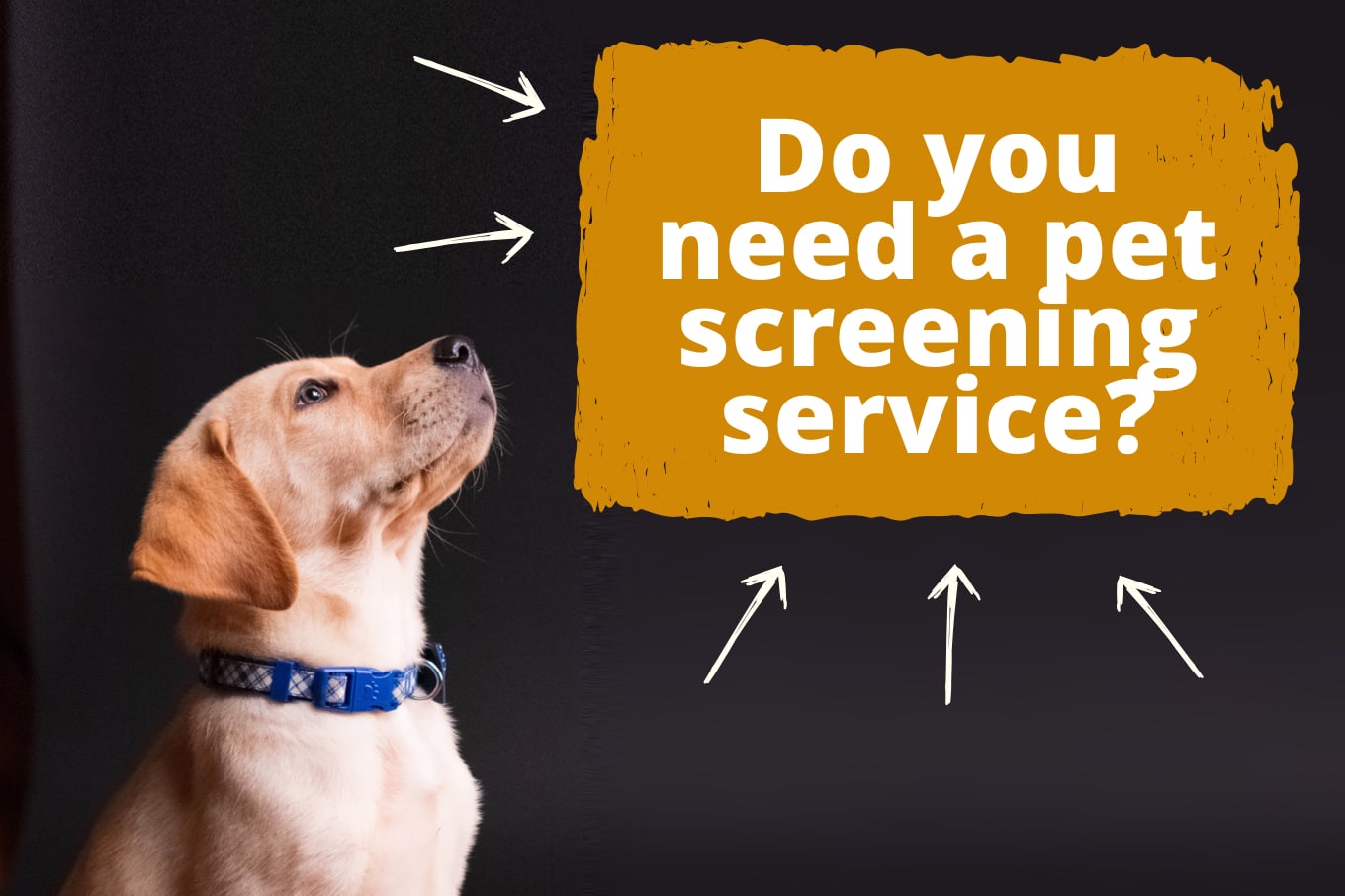 Pet Screening for Landlords: Laws and Best Practices