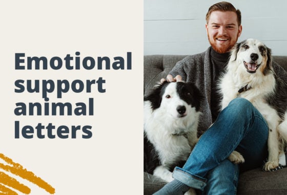 Is That Emotional Support Animal Letter Genuine? Here’s How to Tell