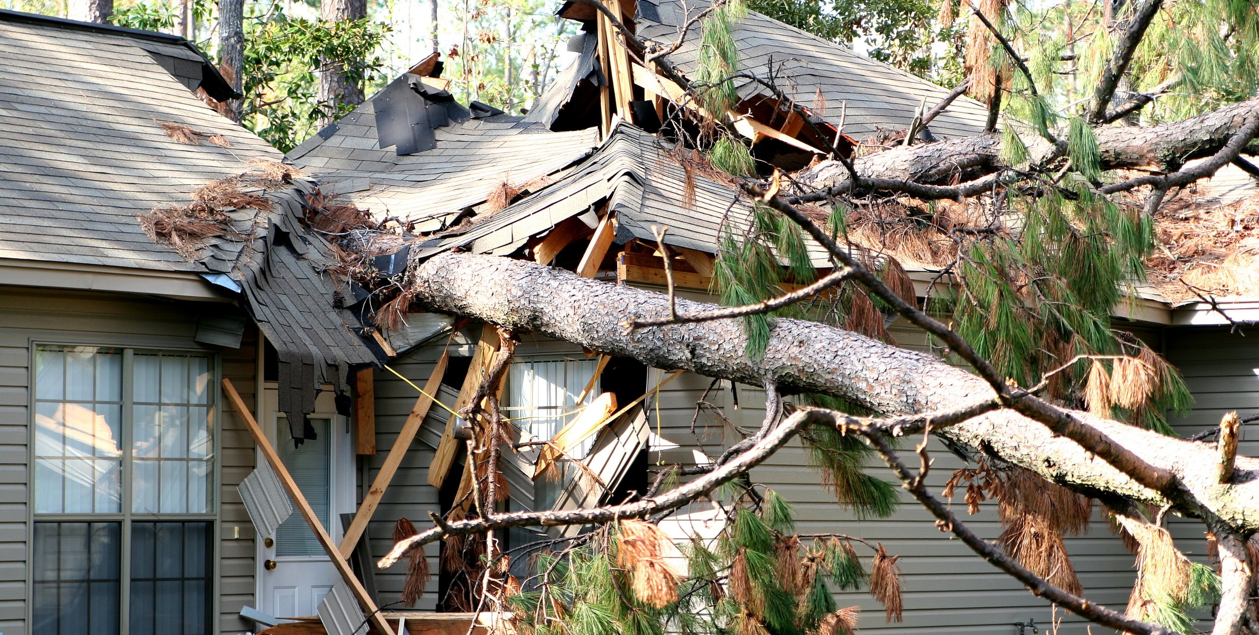 tree fallen on house