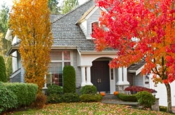 Where New Investors Should Be Looking to Buy This Fall