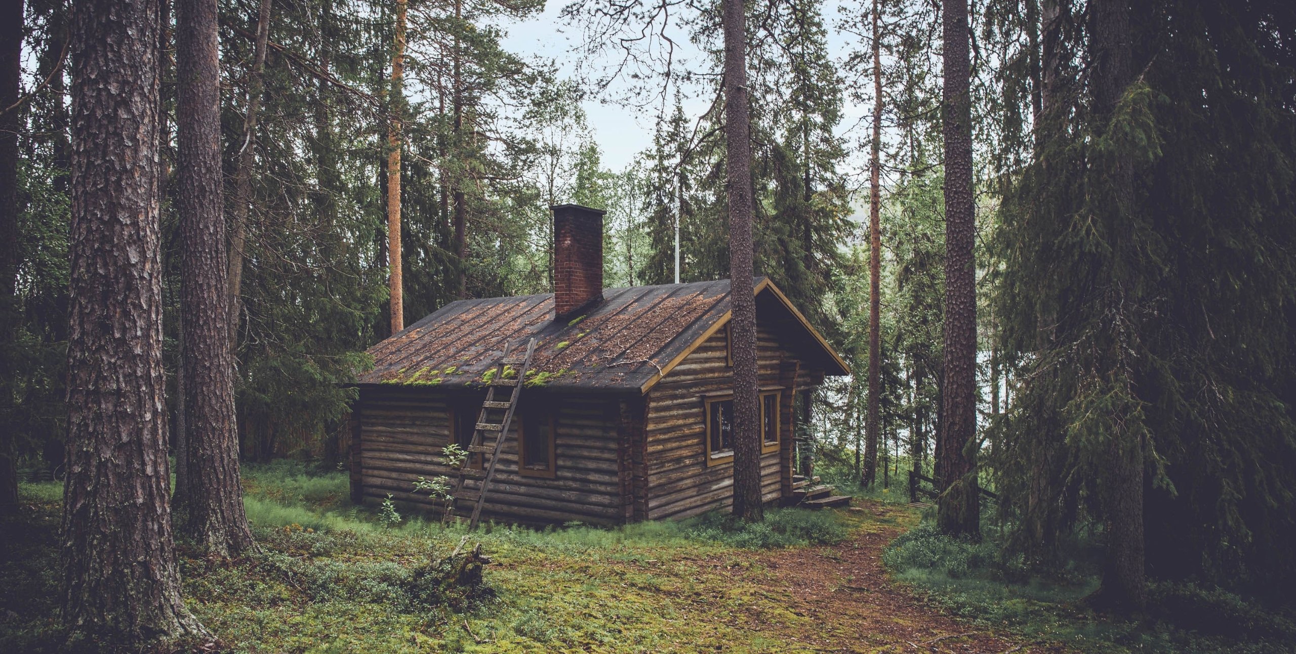 cabin in the woods