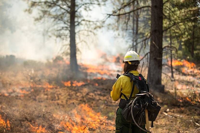 Climate Change Could Mean Big Spike in Home Insurance Rates