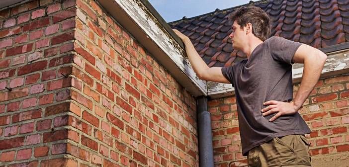 How to Quickly Estimate a Rehab: 10 Items to Note on a Property's Exterior