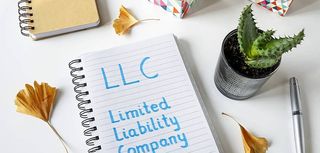 LLC written in blue marker on a spiral notebook laying on desk with small potted plant and other desk decor