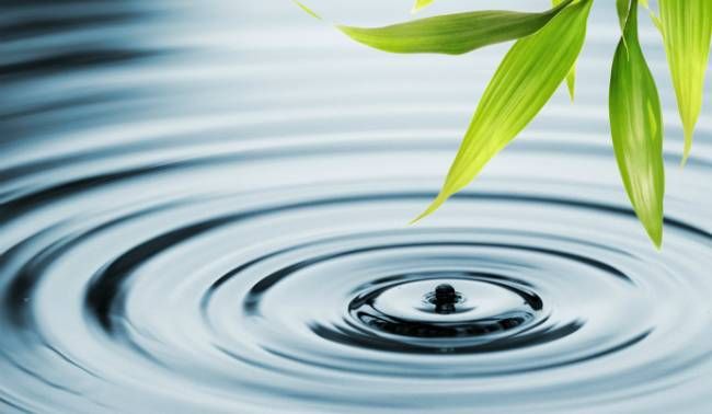 When Going “Green” Counts: 7 Ways to Save Money on Your Rentals Through Water Conservation