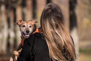 pet owners, pet deposit, allowing pets