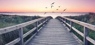 looking out over long wooden footbridge toward ocean during sunrise several birds flying in colorful sky